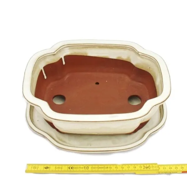 bonsai skål med fat storlek 4 - haitang i4 - ljus beige - l 26cm - b 20,5cm - h 8,5cm