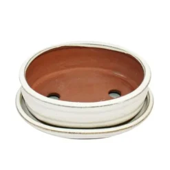 bonsai skål med fat storlek 2 - ljus beige - oval - modell o7 - l 15,5 cm - b 12 cm - h 4,5 cm