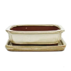 New bonsai skål med fat storlek 2 - rektangulär g12 - ljus beige - l 15,5 cm - b 12 cm - h 4,5 cm Krukor & Växtbehållare