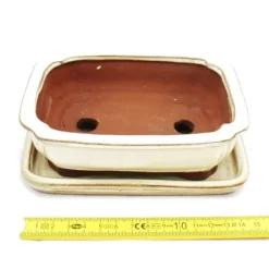 New bonsai skål med fat storlek 2 - rektangulär g12 - ljus beige - l 15,5 cm - b 12 cm - h 4,5 cm Krukor & Växtbehållare