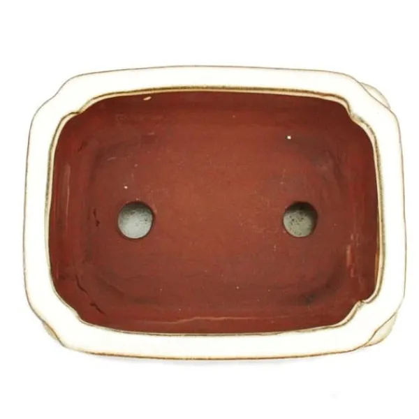 New bonsai skål med fat storlek 2 - rektangulär g12 - ljus beige - l 15,5 cm - b 12 cm - h 4,5 cm Krukor & Växtbehållare