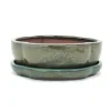 bonsai skål med fat storlek 3 - grön - haitang/oval - modell i5 - l 17cm - b 14cm - h 5,5cm