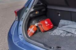 Brandsläckare NEXA 2kg pulver röd 13A