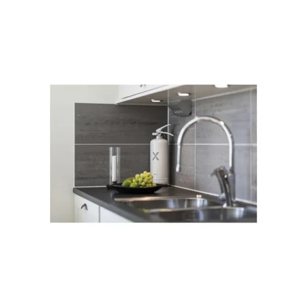 Brandsläckare NEXA 2kg pulver vit 13A