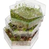 Browin Sproutmill Niezłe Ziółko multilevel