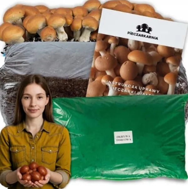 Outlet Brunt svampmycel 20 kg odlingskit balsubstrat + torv 9 kg Kit För Växt- & Örtplantering