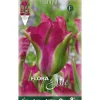 Best BULB AUTUNNALI TULIPANO GREEN LOVE FÖRPACKNING MED 7 BULBER BULBER BULBER Fröer & Lökar