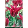 BULBERR AUTUNNA TULIPAN VIRIDIFLORA DOLL'S MINUET FÖRPACKNING MED 7 BULBER BULBS BULBS