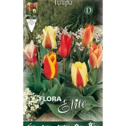 BULBERV AUTUMN TULPAN GREIGII MIX FÖRPACKNING MED 10 BULBER BULBS BULBES Fröer & Lökar
