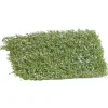 Sale Busch 3595 Buske blommande 35 mm Vit Buskar