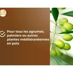 Best Citrus- och medelhavsväxter Jord - BRUNT GULD - OBRTAGR6U - 6L - Olivträd Palmer och cycas Jord & Sand