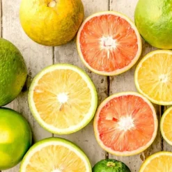 Citrusväxter - Set om 6 - Citrus limon - Höjd 25-40cm - ⌀9cm