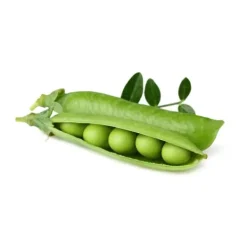 New Click & Grow - Smart Garden Refill 3-pack dvärgärt Kit För Växt- & Örtplantering