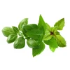 Best Click & Grow - Smart Garden Refill 9-pack Basil Variety Mix Kit För Växt- & Örtplantering