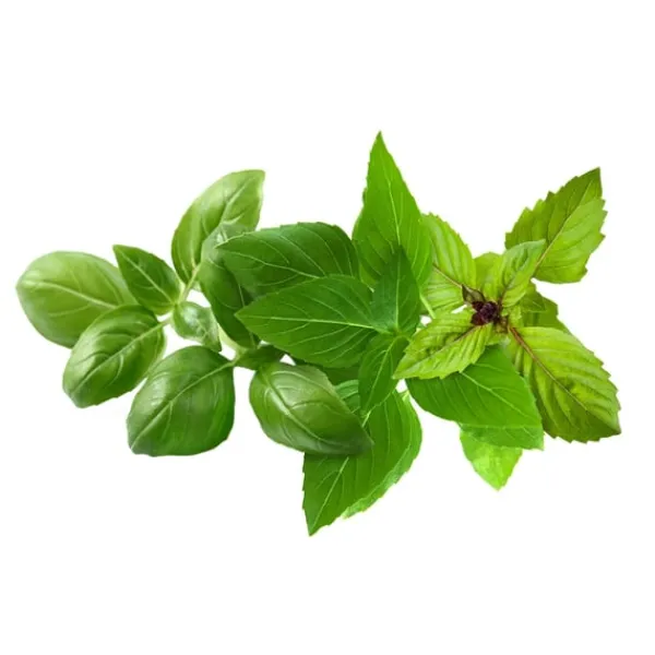 Best Click & Grow - Smart Garden Refill 9-pack Basil Variety Mix Kit För Växt- & Örtplantering