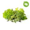 Click & Grow - Smart Garden Refill 9-pack Grill & Steak Mix