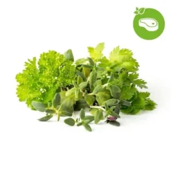 Click & Grow - Smart Garden Refill 9-pack Grill & Steak Mix