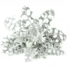 Click & Grow- Smart Garden Refill 3-pack Dusty Miller