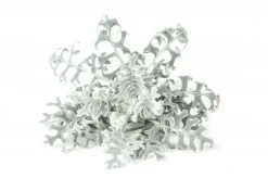 Click & Grow- Smart Garden Refill 3-pack Dusty Miller