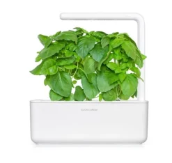 Click & Grow Smart Garden refill Marseille Basil 3st