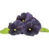 Click & Grow Smart Garden refill Svart pensé 3st