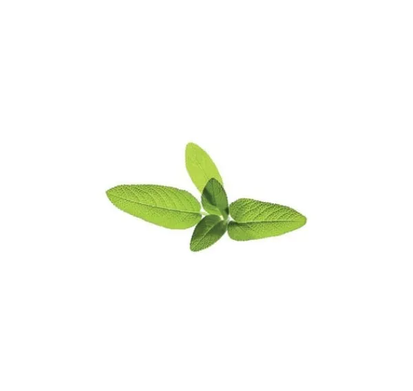 Click & Grow Smart Garden refill Sage 3st