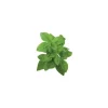 Discount Click & Grow Smart Garden refill Dwarf Basil 3st Kit För Växt- & Örtplantering