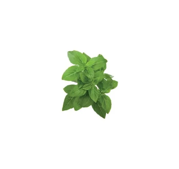 Discount Click & Grow Smart Garden refill Dwarf Basil 3st Kit För Växt- & Örtplantering