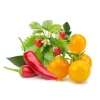 Sale Click and Grow - Smart Garden Refill 9-pack Fruit and Veggie Mix Kit För Växt- & Örtplantering