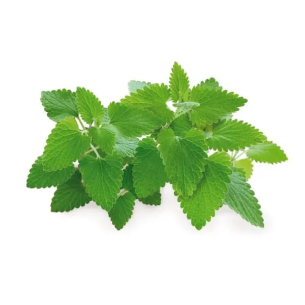 Click and Grow - Smart Garden Refill 3-pack - Catnip (SGR29X3)