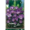 CROCUS TOMMASINIANUS RUBY GIANT FÖRPACKNING 15 LÖKAR