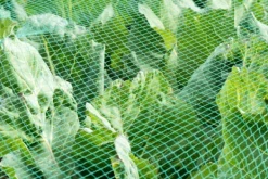 Hot Dammnät 17 m x 8 m Hägerskydd Silonät Bladskyddsnät Fågelskyddsnät Bladnät För Fåglar & Småvilt