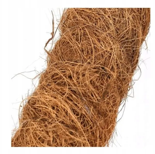 Dekorativt växtstöd för kokosnöt, Eco 120 cm