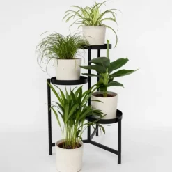 Discount Djurvänliga växter - Set om 4 - Pet Friendy Mix - Höjd 25-40cm - ⌀12cm Krukväxter Inomhus