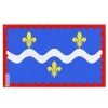 Online Drapeau - Indre - 96 x 144 cm - Polyester - Tryck på fram- och baksidan - Öljett i järn Flaggor & Vindstrutar