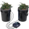 Hot DWC Hydroponics Odling System Djupvattenkultur med Top Drip 2 Hinkar, effektiv växtodling, hydroponisk odlingsteknik Kit För Växt- & Örtplantering