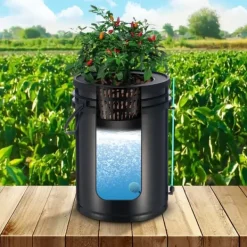 Hot DWC Hydroponics Odling System Djupvattenkultur med Top Drip 2 Hinkar, effektiv växtodling, hydroponisk odlingsteknik Kit För Växt- & Örtplantering