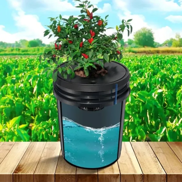 DWC Hydroponics Odling System, Deep Water Culture, 8 Hinkar, Luftpump, Effektiv Vattentillförsel, Optimerad Växttillväxt