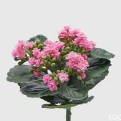 Outlet EDG CESPUGLIO DI KALANCOE H23XD19CM ROSA, HEM, DEKORATIVA TILLBEHÖR, KONSTIGA BLOMMAR Blommor