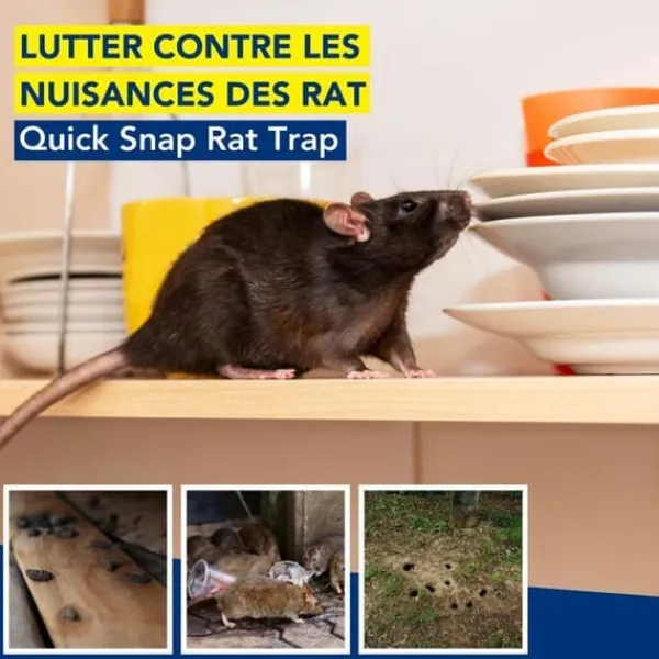 Best Edialux Rått- och musefälla snap pack fördelaktig - 2+1 gratis återanvändbara fällor i robust plast och galvaniserat metall Skadedjursfällor