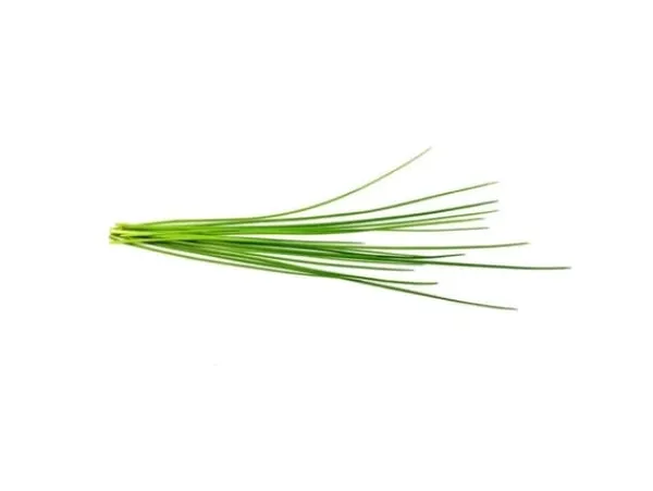 Discount EMSA Click & Grow, Gräslök Fröer & Lökar