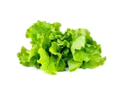 Outlet EMSA Click & Grow, Sallad Kit För Växt- & Örtplantering