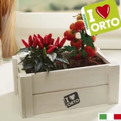 Discount ENKEL ORTO PEPERONCINO OCH POMODORINO VERDEMAX GÖR DET SJÄLV TERRASS KÖK Kit För Växt- & Örtplantering