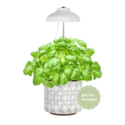 Enne Bijou Grow -växtbelysning, USB, 5 W, 240 lm, vit