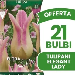 Online ERBJUDANDE 21 BULBI AUTUNNALI TULIPANO FIOR DI GIGLIO ELEGANTA LADY-GLÖKOR Fröer & Lökar