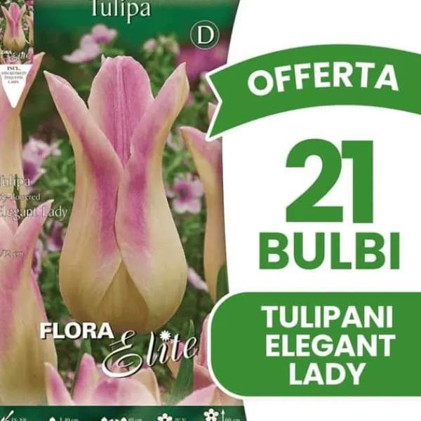 Online ERBJUDANDE 21 BULBI AUTUNNALI TULIPANO FIOR DI GIGLIO ELEGANTA LADY-GLÖKOR Fröer & Lökar