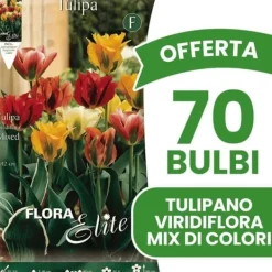 Best ERBJUDANDE 70 HÖSTBULBARS TULPAN VIRIDIFLORA BLANDNING AV FÄRGER BULBARS BULBER BULBAR Fröer & Lökar