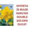 Sale ERBJUDANDE 35 NARCISSER DOUBLE GOLDEN DUCAT LÖKAR Fröer & Lökar