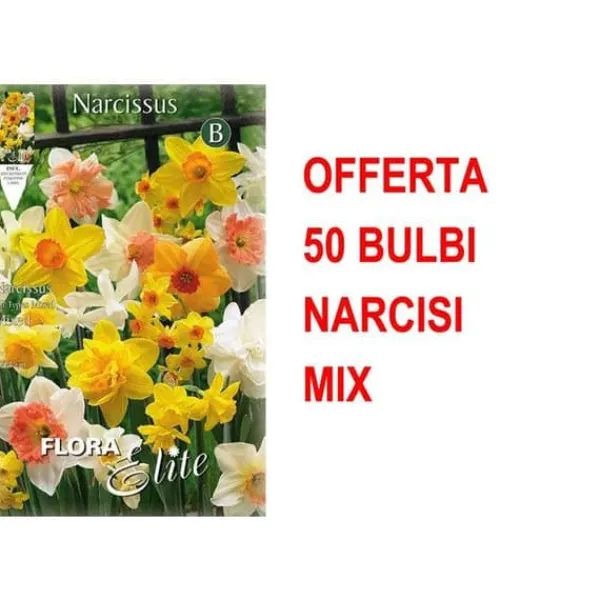 Online ERBJUDANDE 50 NARCISSKOLOR MIX BULBAR Fröer & Lökar