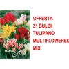 ERBJUDANDE 21 TULPANBULB MULTIFLORAL BLANDNING BULBERR Fröer & Lökar